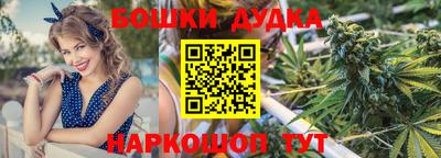 крисы Малгобек